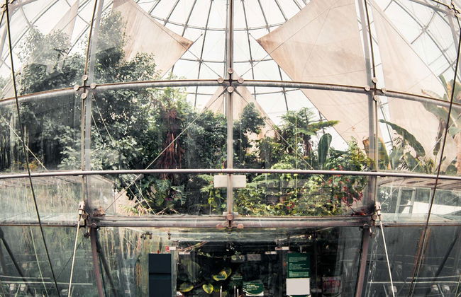 Entrada a la Biosfera - Foto 1