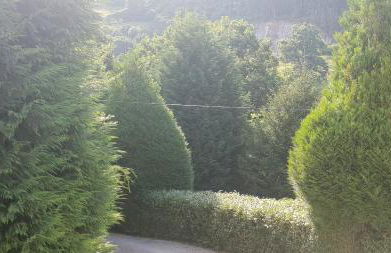 CASA DE CAMPO LAS ROZAS - Foto 26