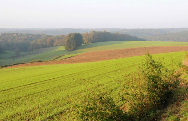 Family Villa Near Forest - Foto 19