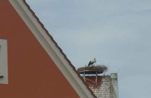 Ferienhaus Teubner - Foto 39