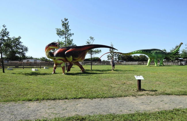 Bungalows in Wrzosowo - Bird's Cage Resort for 2 Persons - Foto 10