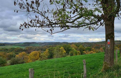 Jedermanns Nest - Foto 13