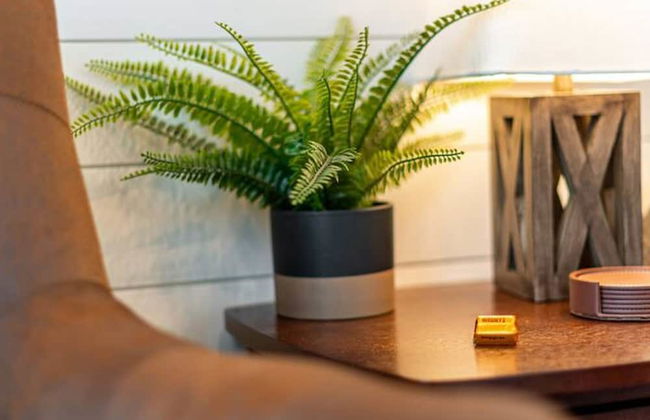 No Cleaning No Cleaning Fee Out West-cargo Home - Foto 10