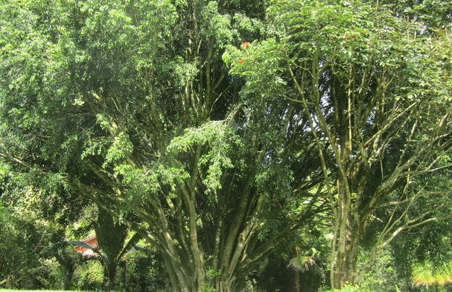 River Front Cabains - Foto 35