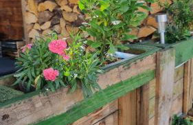 Unter der Linde - Foto 8