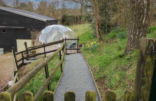 The Millers Roost at Dudgeley Mill - Foto 23