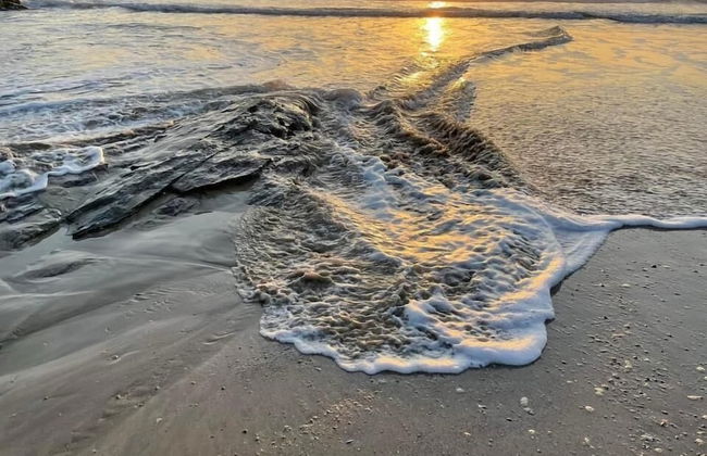 Sleeps8- Ecofriendly- Kingbeds- Familyfriendly - Photo 24