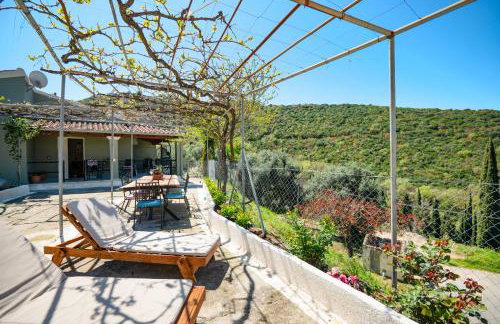 Villa Hercules - Foto 22