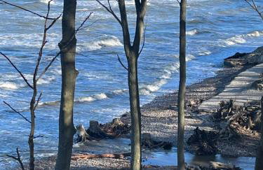 Apartamenty Kamienica Arte 1 - Foto 41