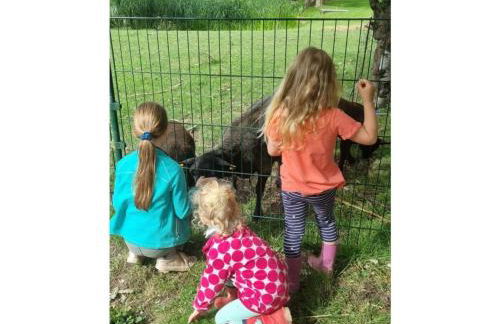 Farm Ferienhof Albert - Foto 32