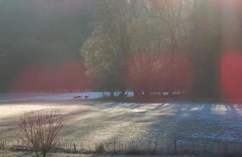 Wald-Apartment - Foto 36