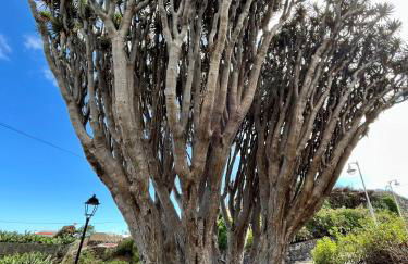 Vivienda Vacacional El Zumacal - Foto 19