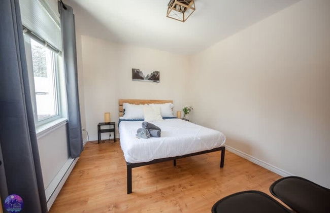 Sommet- Pet Friendly- Spa- SKI IN SKI OUT St-c me - Foto 31