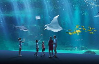 Private cottage with hot tub - Foto 18