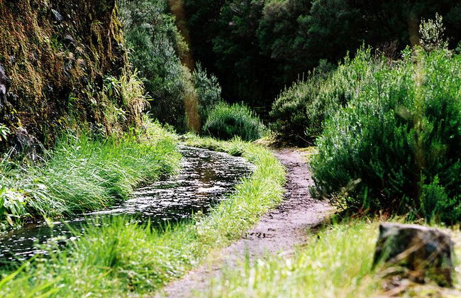 Madeira Lagos e Fontes Rabacal - Foto 11