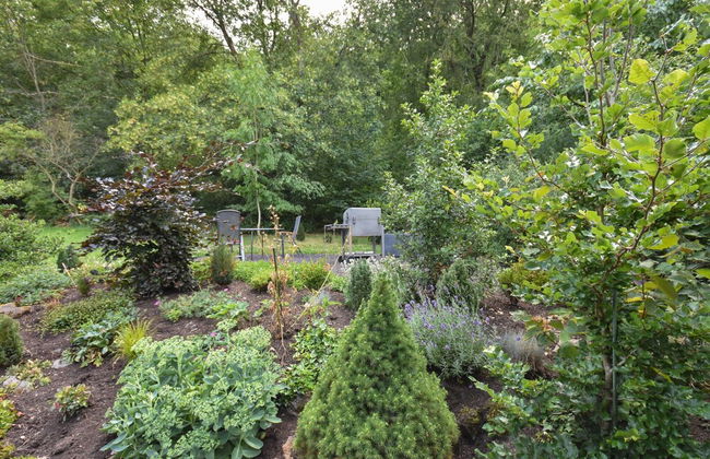 Cottage in Germany With Sun Terrace & BBQ - Foto 16