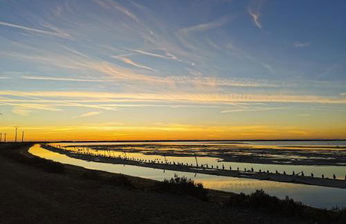 Studios MISTRAL21 en Camargue - Foto 27