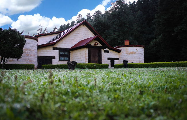 Los Vagones Cabañas Restaurante Bar - Photo 27