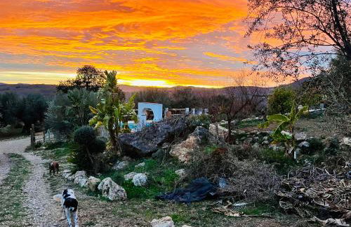 La Cuadra de Finca Don Carmelo - Foto 48