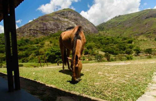 Flat Natureza Hotel Fazenda Pedra do Rodeadouro Bonito PE - Photo 70