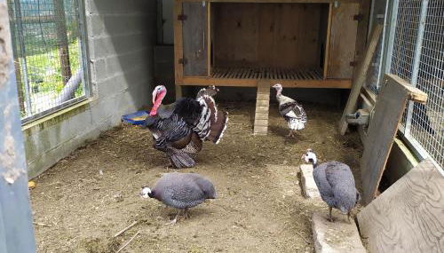 Quinta Souto Chão - Foto 3