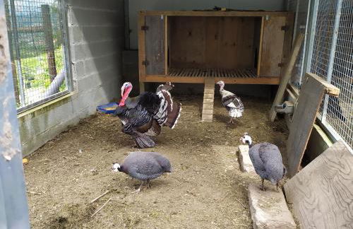 Quinta Souto Chão - Photo 3