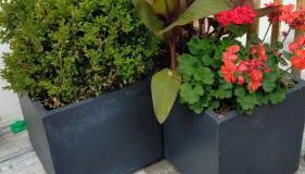 Petite maison pleine de charme - Foto 3