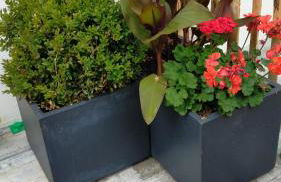 Petite maison pleine de charme - Foto 3