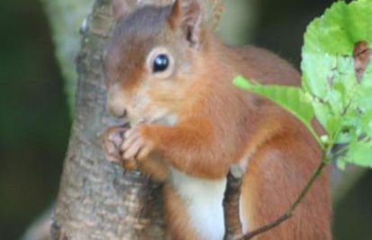 Lann Dearg Studios - Photo 43