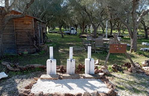 Tenuta L'uliveto - Foto 59