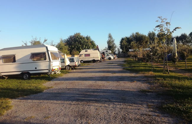 Salas Farma 47 - Photo 45