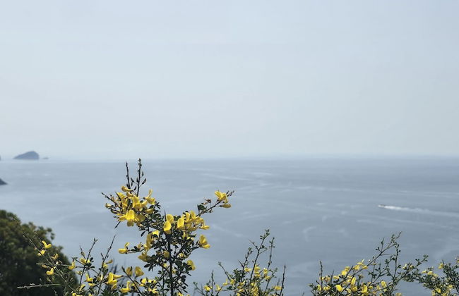 The white cave- Bluchalet - Foto 46