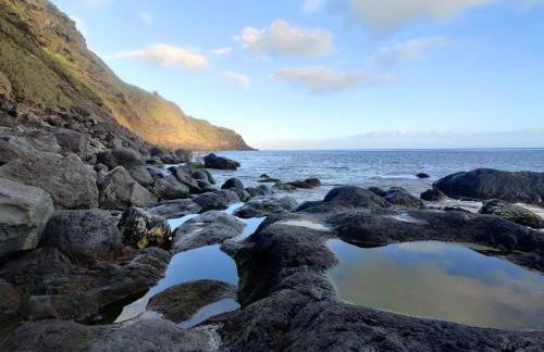 Fonte Da Rocha - PIAS - Photo 27