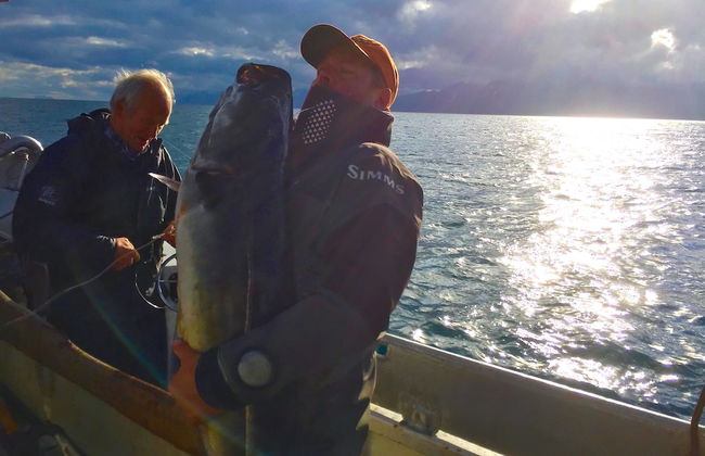 Lighthouse View Lofoten - Foto 14