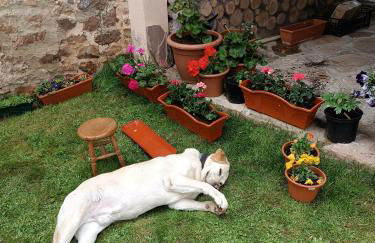 La Casa de Salinas - Foto 27