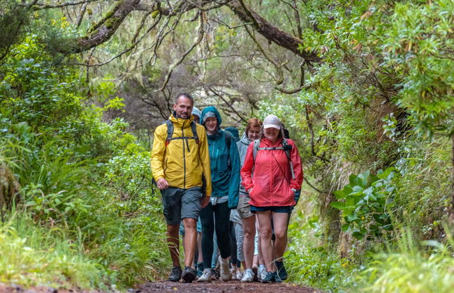 Cabo Girão & Rabaçal Offroad Day Trip - Photo 8