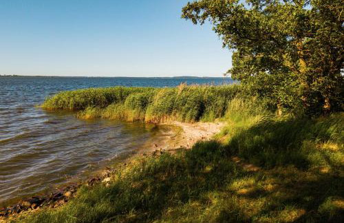 Gutshof Liepe mit 2 Ferienwohnungen - Foto 47