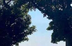 The Holiday Hoose - Foto 52