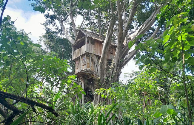 Glowing view tree house and Bangalow - Foto 43