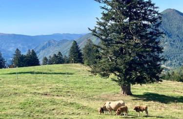 Studio pieds des pistes - Cosy & Confort - Foto 37