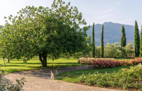 O-live Agriresort - Foto 76