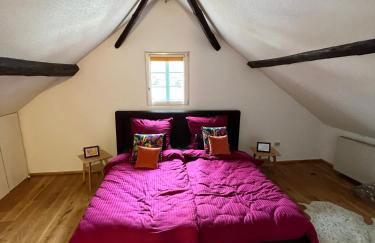 Noah - Seeleben auf Zeit am Rursee - Foto 36