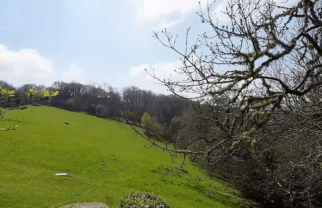 Higher Mapstone in Lustleigh - Foto 45