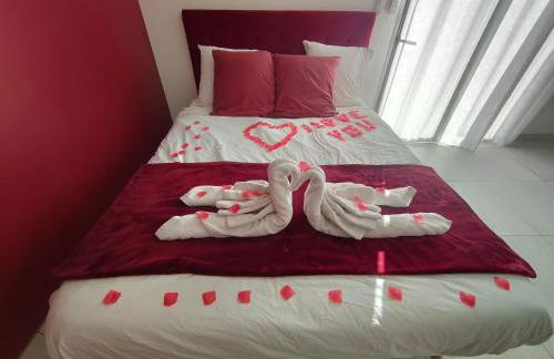 Un amour passionnel,love room,15 min du zoo,balnéo XL privatisée et disponible toute l'année ,piscine couverte et chauffée d'avril à fin septembre à partager avec d'autres logements et elle est privatisée de 20h à 22h - Foto 6