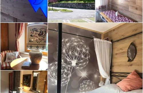 Holiday Guesthouse La Casina di Butzi pet friendly - Terme di Arta - Zoncolan - Foto 37