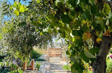 Balis House - Foto 28