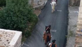 Country House Konavle - Foto 3