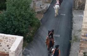 Country House Konavle - Foto 3