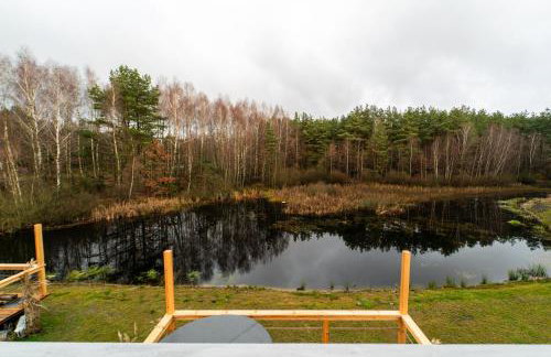 Nad brzozowym stawem - Foto 23