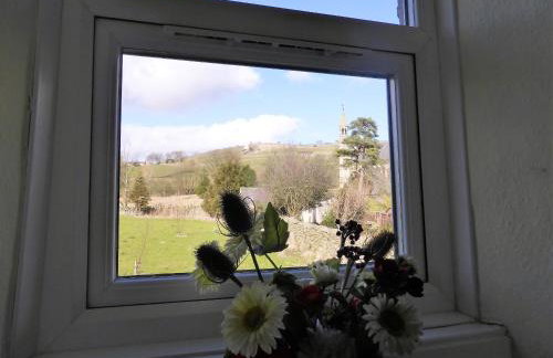 Black Dog House - Foto 22